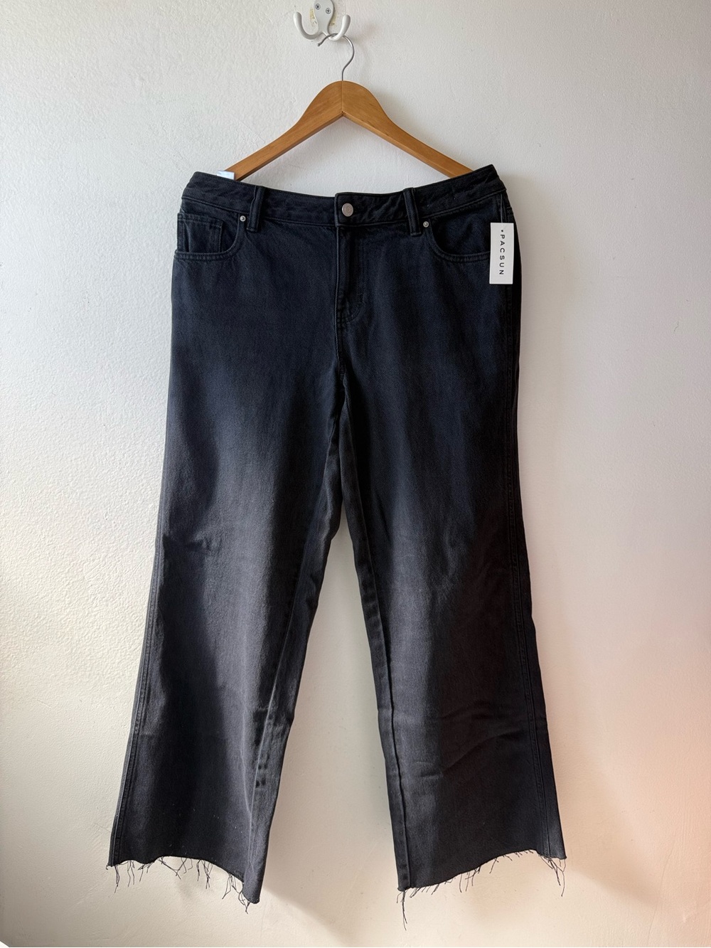 PacSun Casey Low Rise Baggy Wide Leg Jeans